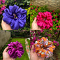 Deal of 4 Scrunchies (Royal purple, Hot pink, Magenta, Floral Linen)